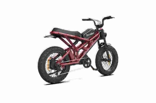 Fabricante de bicicletas elétricas de 1000 watts