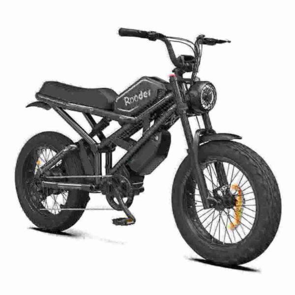 Fabricante de bicicletas elétricas de 2 rodas
