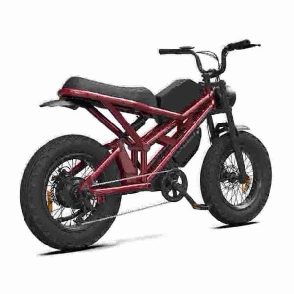 24 Fabricante de pneus gordos Ebike