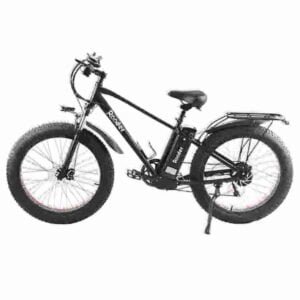 Fabricante de bicicleta elétrica de 3 rodas para adultos