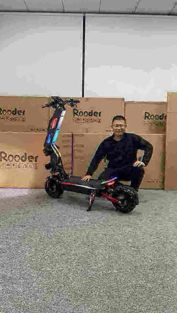 Fabricante de scooters com pneus gordos 3000W