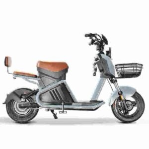 Fabricante de scooters Citycoco 60V20A 3000W