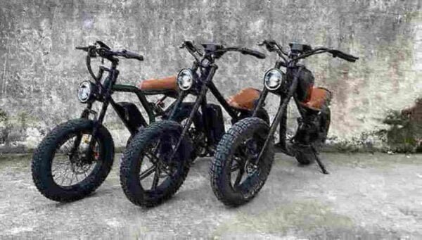 Fabricante de bicicletas elétricas com pneus grossos de 750 watts