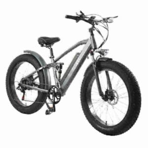 Fabricante de bicicletas com pneus grossos de 750 watts