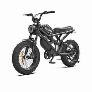 Fabricante de E Dirt Bike para adultos