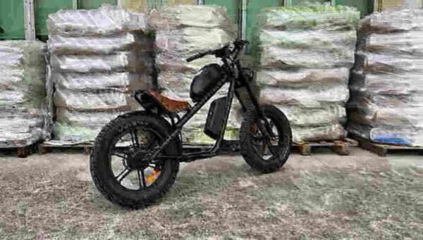 fabricante de ebike 750w