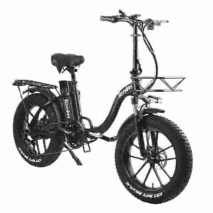 Fabricante de pneus de neve Ebike