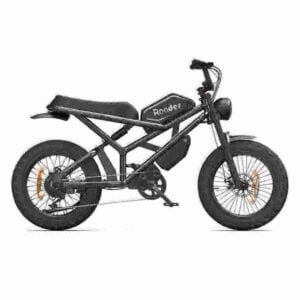 Fabricante de bicicleta elétrica 36v