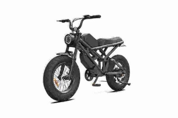 Fabricante de bicicleta elétrica com pneus grossos
