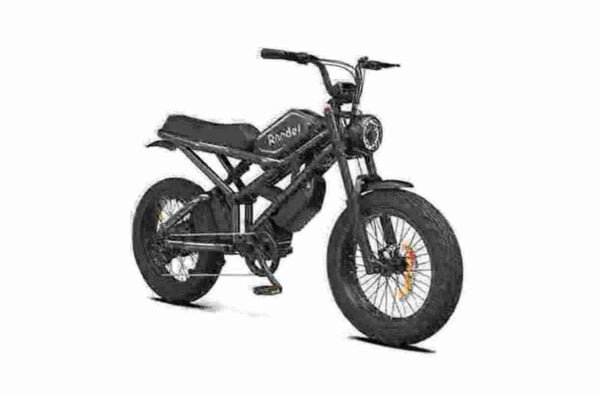 Fabricante de ciclo elétrico com pneu gordo