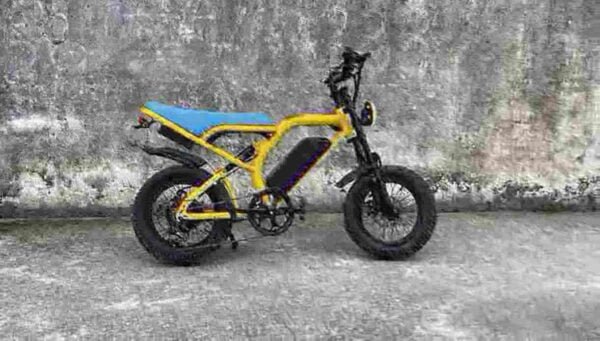Fabricante de bicicleta elétrica de sujeira com velocidade máxima