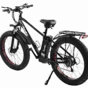 Fabricante de Ebike de pneus elétricos gordos