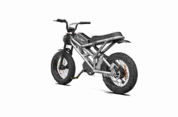 Fabricante de bicicletas elétricas gordas