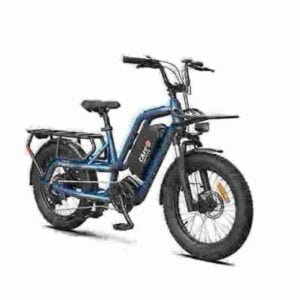 fabricante de bicicleta elétrica com roda gorda