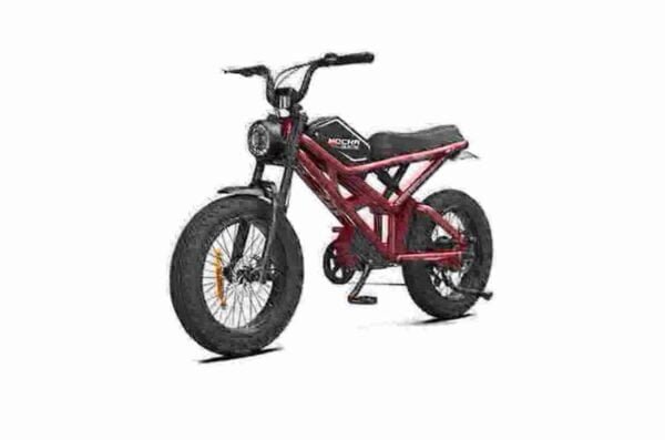 Fabricante de ciclomotor elétrico dobrável
