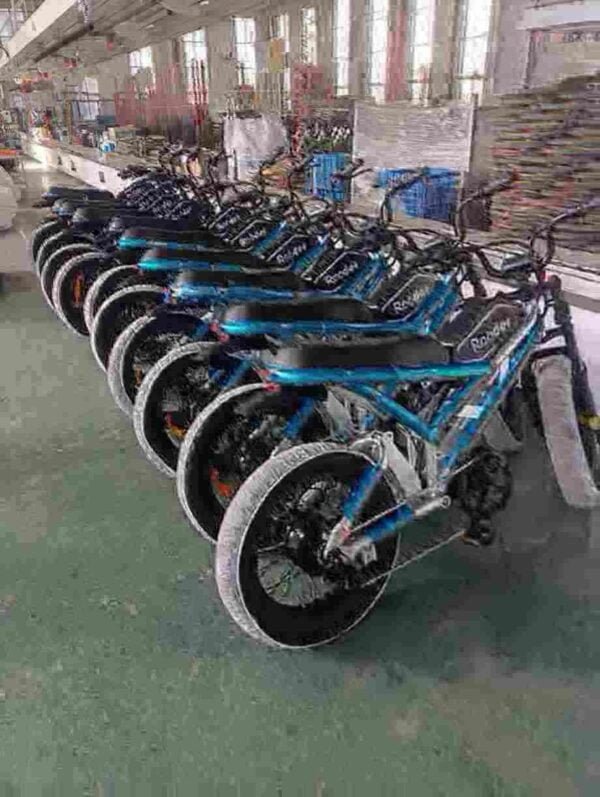 Fabricante de bicicletas de montanha elétricas femininas