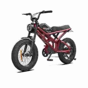 Fabricante de bicicletas elétricas com pneus gordos off-road