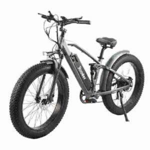 Fabricante de Ebikes com pneus gordos com melhor classificação