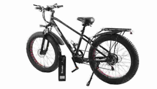 preço da bicicleta elétrica fabricante de 3 rodas