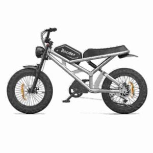 fabricante de scooters de bicicleta elétrica